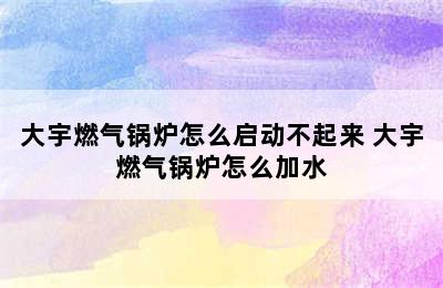 大宇燃气锅炉怎么启动不起来 大宇燃气锅炉怎么加水